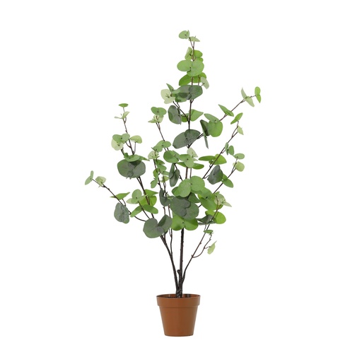 "Künstlicher Eukalyptus grün - 86cm image"