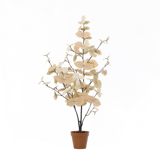 "Künstlicher Eukalyptus weiß - 86cm image"