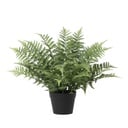 Künstliche Nephrolepis exaltata - 59 cm