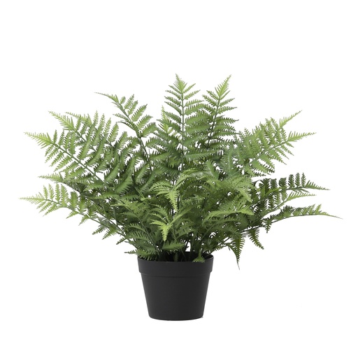"Künstliche Nephrolepis exaltata - 59 cm image"