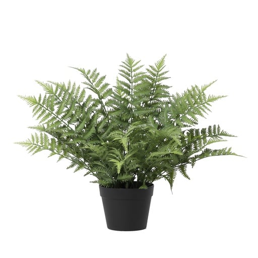"Künstliche Nephrolepis exaltata - 59 cm image"