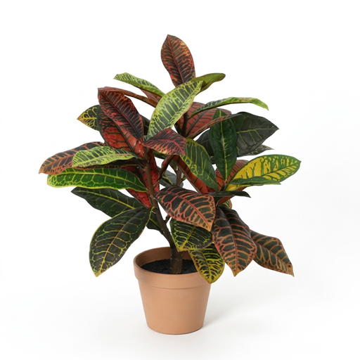 "Künstlicher Croton (Codiaeum) - 40cm image"