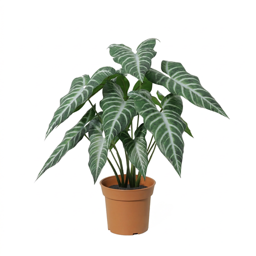 "Künstliche Alocasia polly - 49cm image"