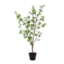 Künstliche Myrte - 83cm