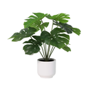 Künstliche Monstera Deliciosa inklusive weißen Topf - 50cm