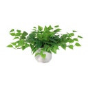 Künstliches Epipremnum inklusive weișem Topf
