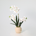 Künstliche Phalaenopsis-Orchidee inklusive Topf - 71cm