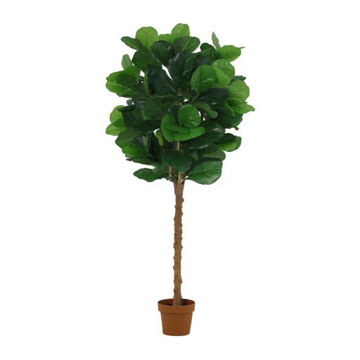 "Künstlicher Ficus lyrata Baum - 160cm image"