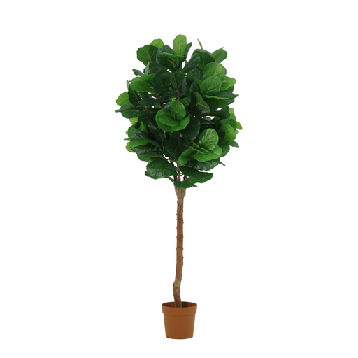 "KÜNSTLICHER Ficus lyrata Baum - 180cm image"