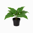 KÜNSTLICHER Philodendron Imperial Green - 25cm