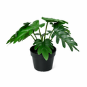 KÜNSTLICHER Philodendron Xanadu - 20 cm