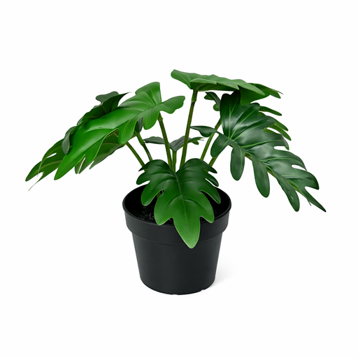 "KÜNSTLICHER Philodendron Xanadu - 20 cm image"