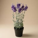 1x Künstlicher Lavendel - violette Pflanze im Topf - Kunstpflanze - 28 cm