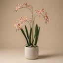 Renanthera Orchidee Rosa im Topf - 56 cm - Kunstpflanze