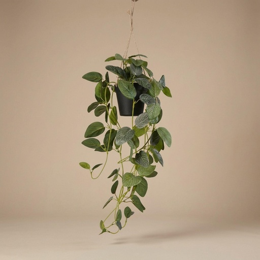 "Fittonia - Hängend im Topf - 70 cm - Künstlich image"