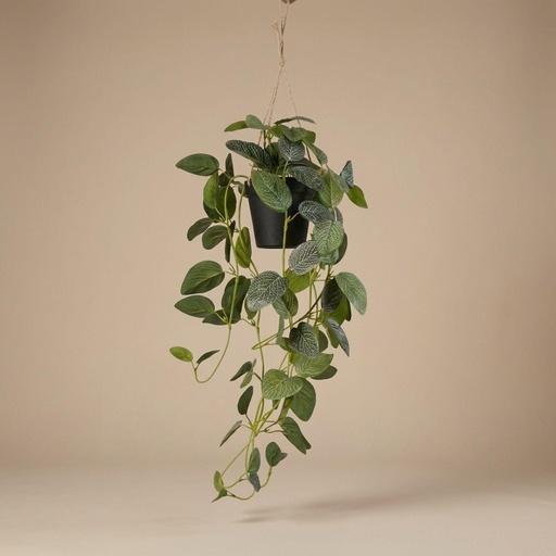 "Fittonia - Hängend im Topf - 70 cm - Künstlich image"
