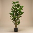 Polysciasbaum - 105 cm - Kunstpflanze