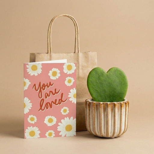 "Geschenkset – pflegeleichte Zimmerpflanze image"