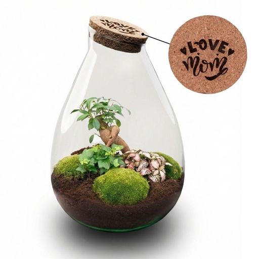"'LOVE MOM' terrarium Drop XL + gravierter Kork - Flaschengarten DIY Set – Ø 24 cm ↑ 37 cm -  Muttertag image"