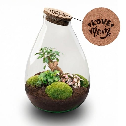 "'LOVE MOM' terrarium Drop XL + gravierter Kork - Flaschengarten DIY Set – Ø 24 cm ↑ 37 cm -  Muttertag image"