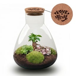 'LOVE MOM' Terrarium Sam + gravierter Kork mit Licht - Flaschengarten DIY Set - 