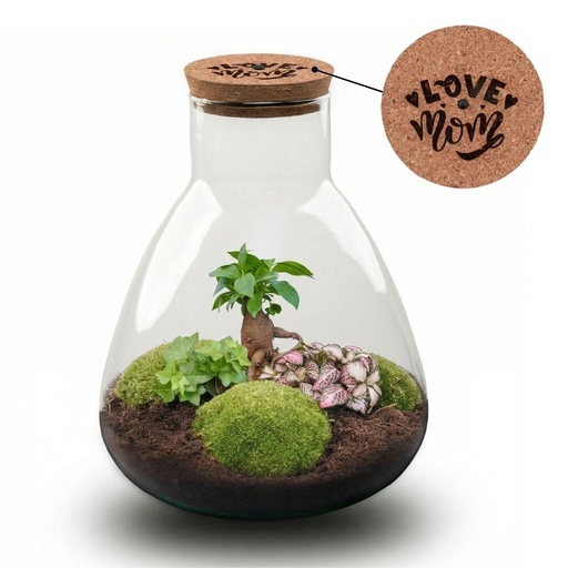 "'LOVE MOM' Terrarium Sam + gravierter Kork mit Licht - Flaschengarten DIY Set - Ø 24.5 cm ↑ 30 cm - Muttertag image"