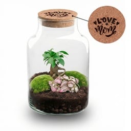 'LOVE MOM' Terrarium Little Milky + gravierter Kork mit Licht - Flaschengarten D