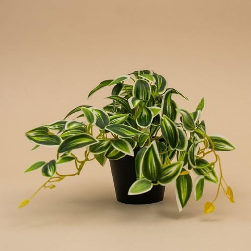 "Tradescantia Grün/Weiß im Topf - 19 cm - Kunstpflanze image"