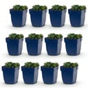 Perennial - Geranium sang. Max Frei - Cranesbill - Ground Cover - Pink - 12 Plants - Pot 11cm - Height 15-25cm