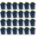 Perennial - Campanula portenschlagiana - Peach-leaved bellflower - Ground cover - Pink - 24 Plants - Pot 11cm - Height 15-25cm