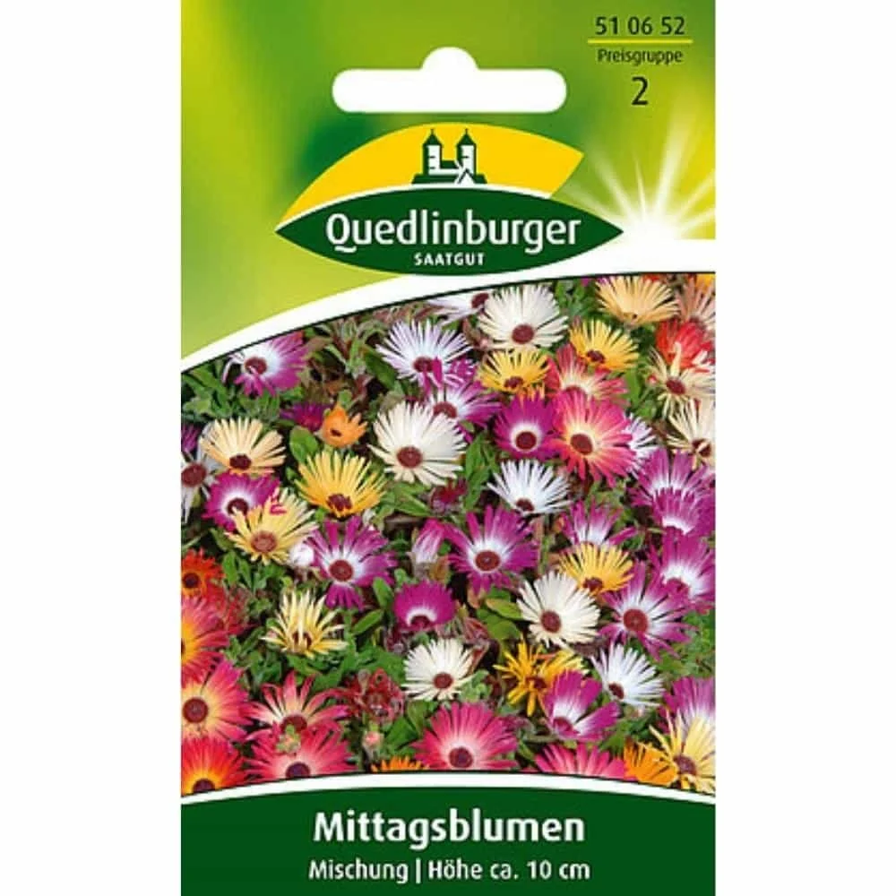 Mittagsblume, Mischung