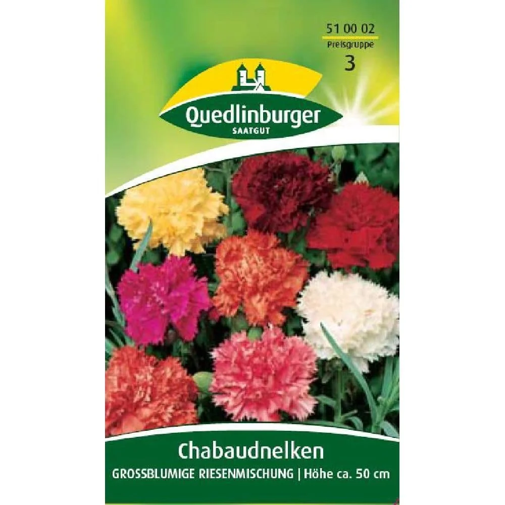 "Nelken kaufen, Riesen Chabaud Nelken, Sommerblumen, Duftnelken image"