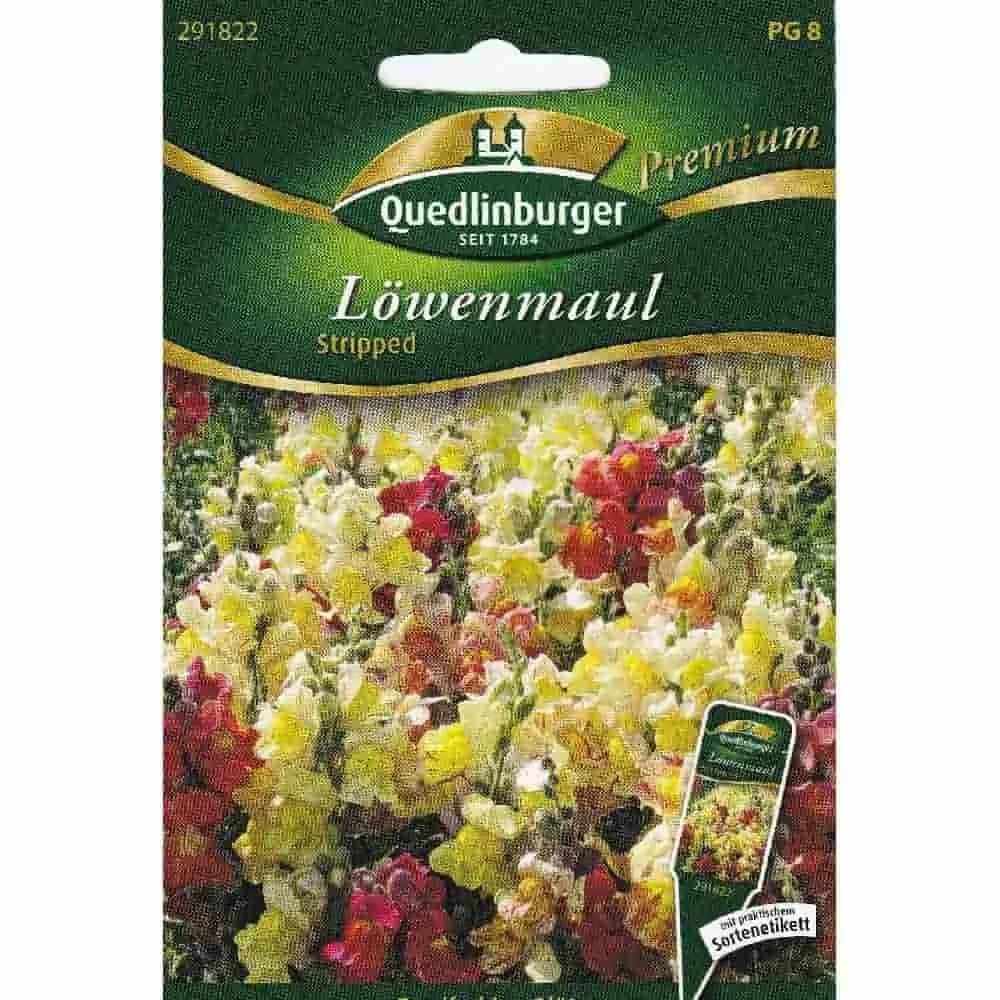 "Löwenmaul, Stripped image"