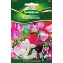 Edelwicken kaufen, Duftwicken Samen, einjährige Kletterpflanze