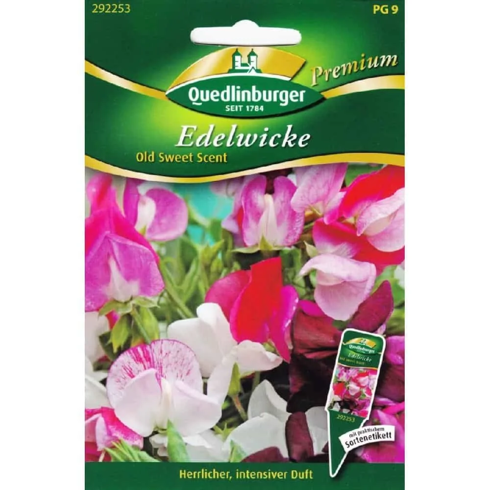 "Edelwicken kaufen, Duftwicken Samen, einjährige Kletterpflanze image"