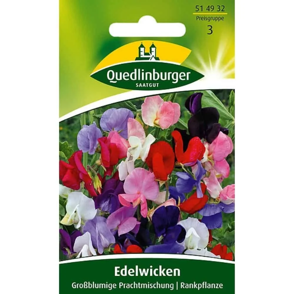 "Edelwicke, Großblumige Mischung image"