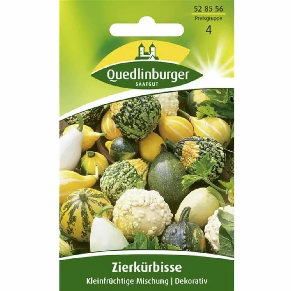 "Zierkürbis, kleinfrüchtige Mischung image"