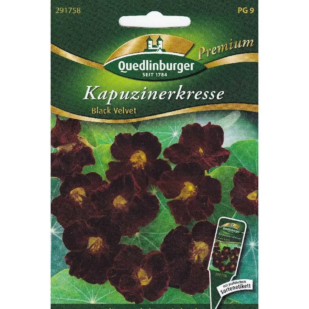 Kapuzinerkresse Black Velvet Samen