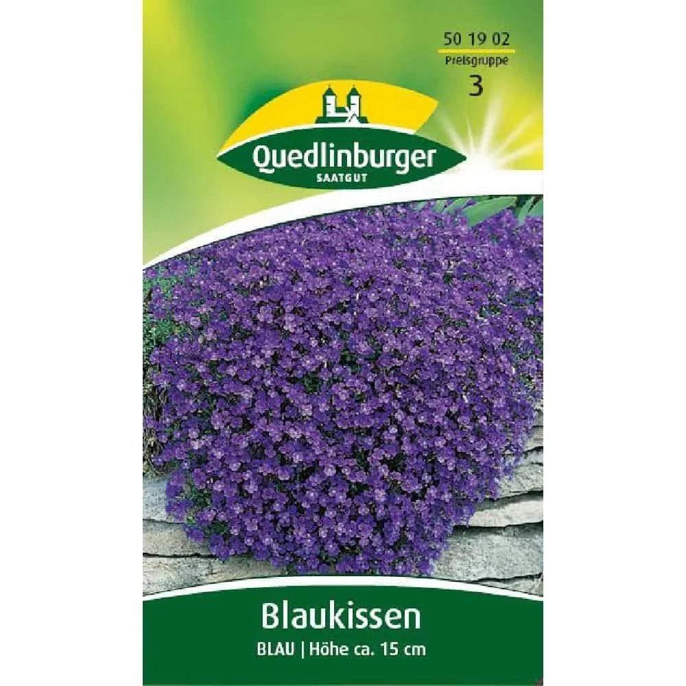 "Blaukissen kaufen, blau, winterhart image"