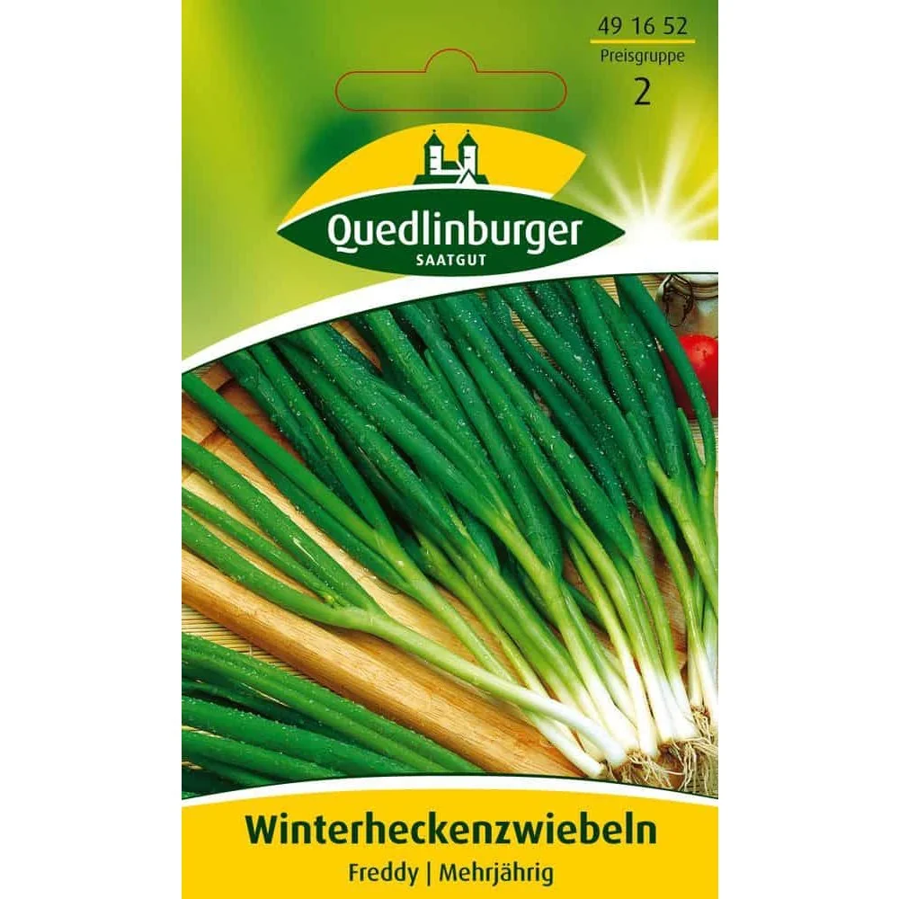 "Winterheckenzwiebel, Winterzwiebel, Schlottenzwiebel, mehrjährig image"