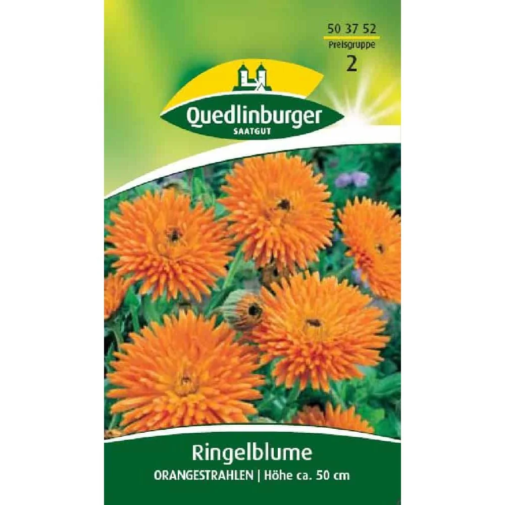 "Ringelblume säen, Orangestrahlen, Sommerblume orange image"