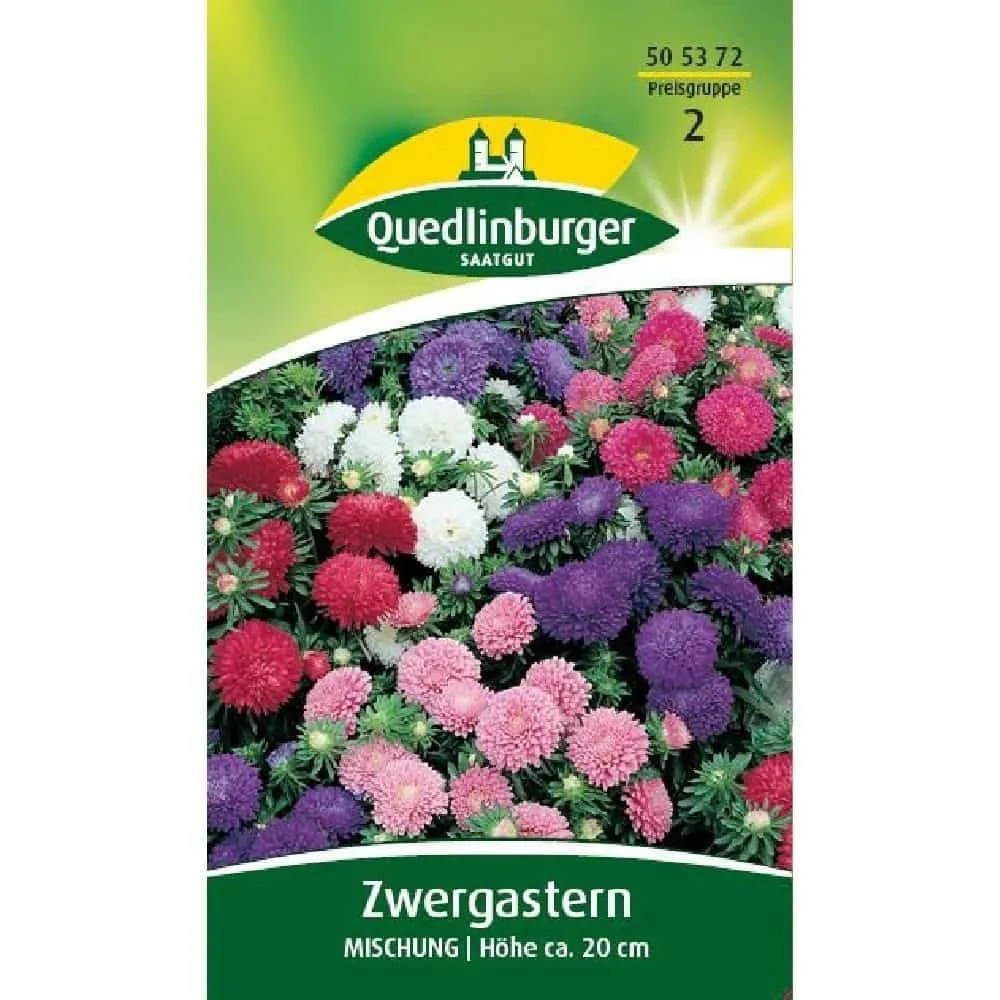 "Zwergastern, Mischung, Bunte Astern für Garten & Balkon image"