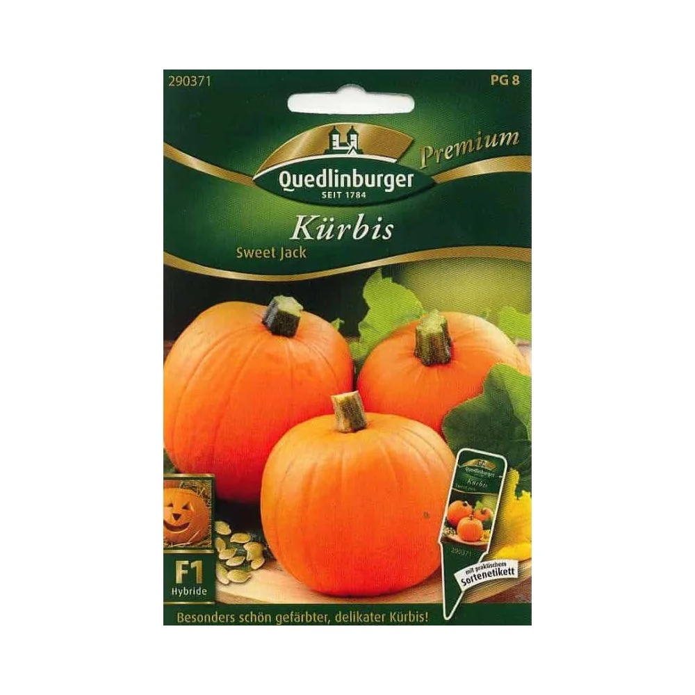 "Kürbis kaufen, Sweet Jack F1, Speisekürbis image"