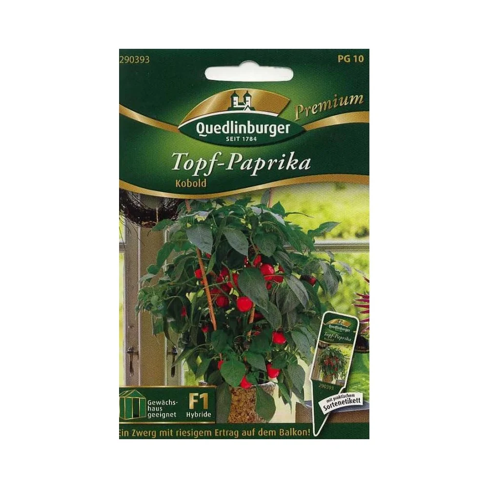 "Topfpaprika, Kobold F1 image"