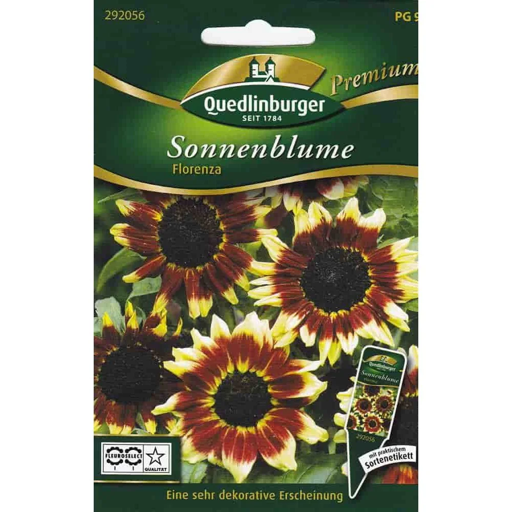 "Sonnenblumen kaufen, Sonnenblume Florenza, einjährige Sorte image"