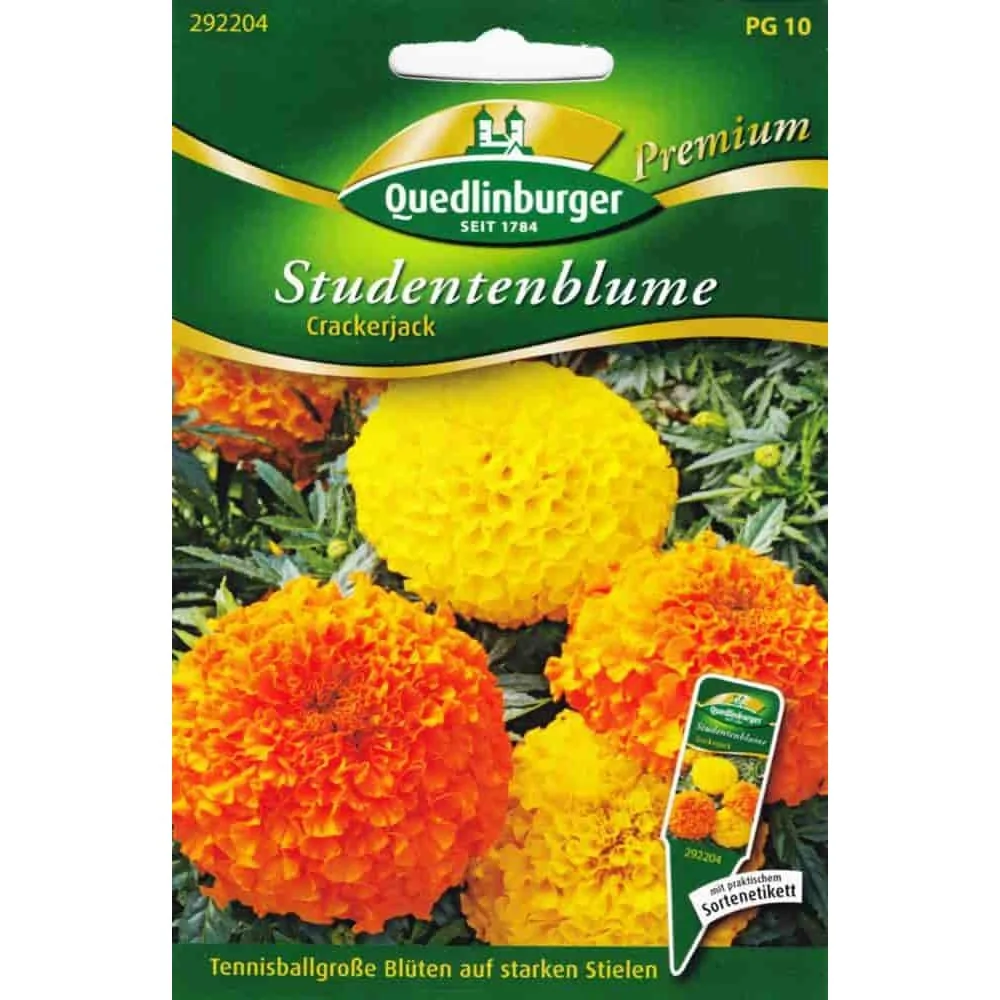 "Studentenblumen, Crackerjack image"