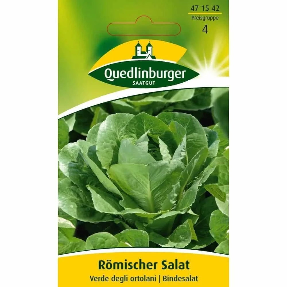 "Römischer Salat, Verde degli ortolani image"