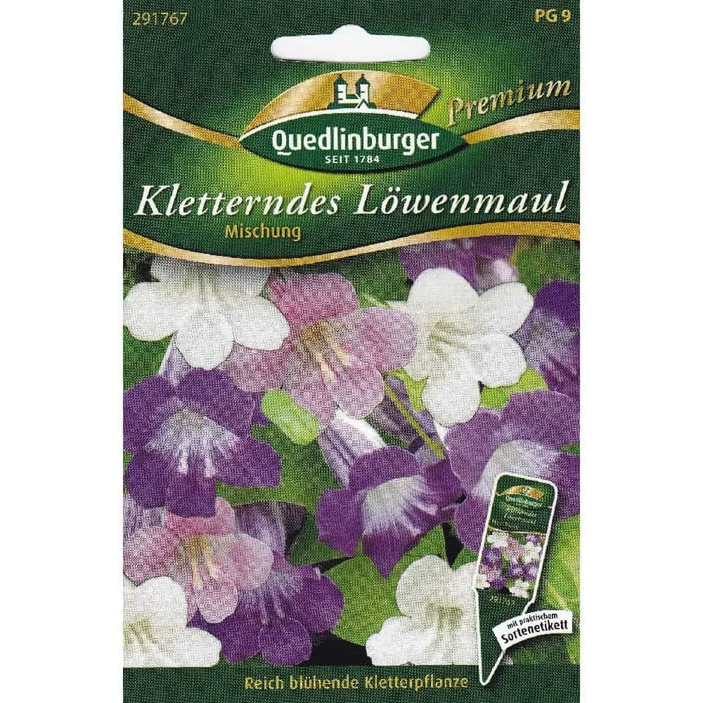 "Kletterndes Löwenmaul, Asarina, Saatgut für Balkon & Garten image"