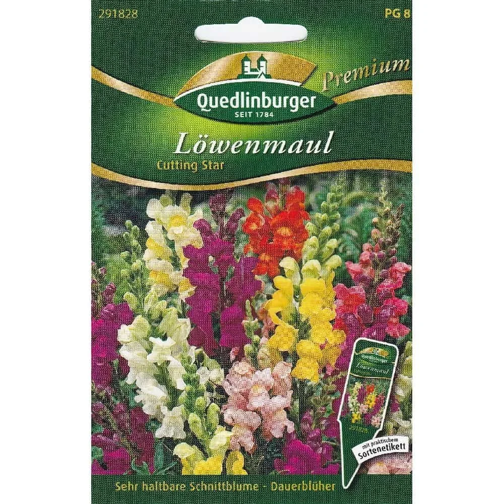"Löwenmaul Samen, Cutting Star, Schnittblume image"