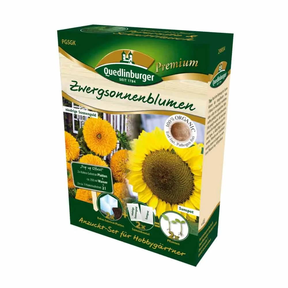 "Anzucht-Set Zwergsonnenblumen, Sonnenblumen Samen image"